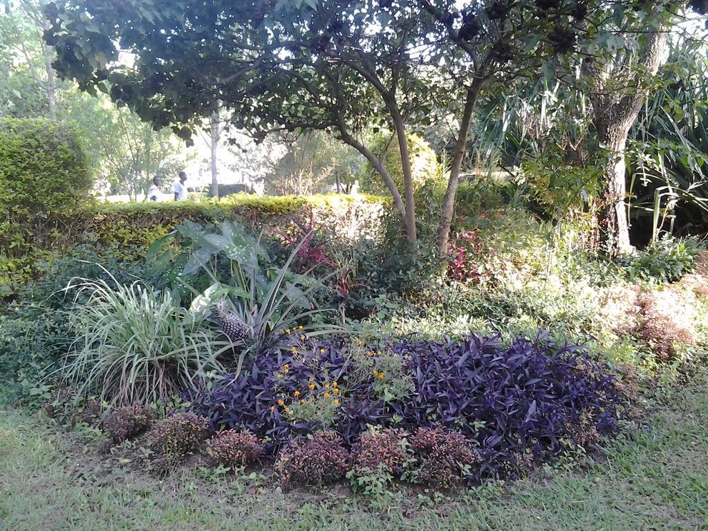 Brownstone Country Home Lira Esterno foto