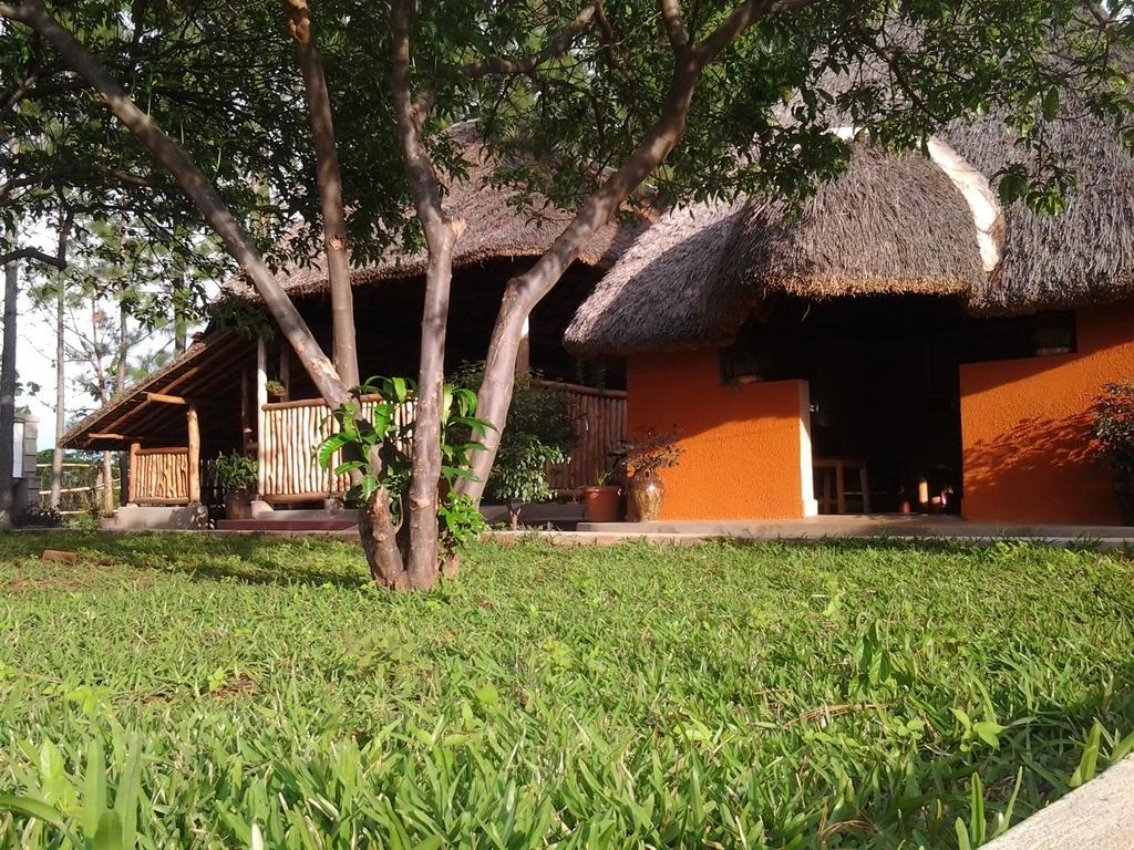 Brownstone Country Home Lira Esterno foto