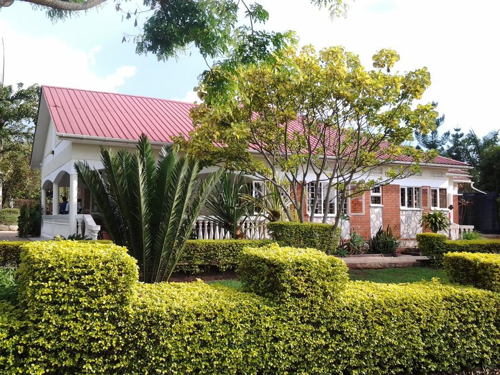 Brownstone Country Home Lira Esterno foto