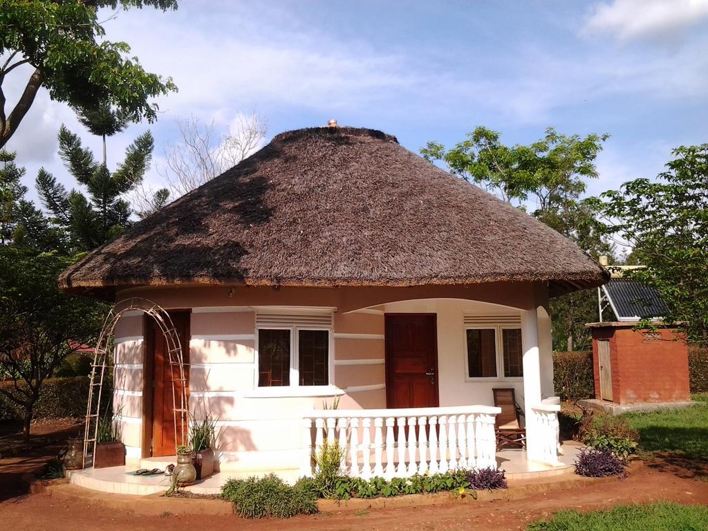 Brownstone Country Home Lira Esterno foto