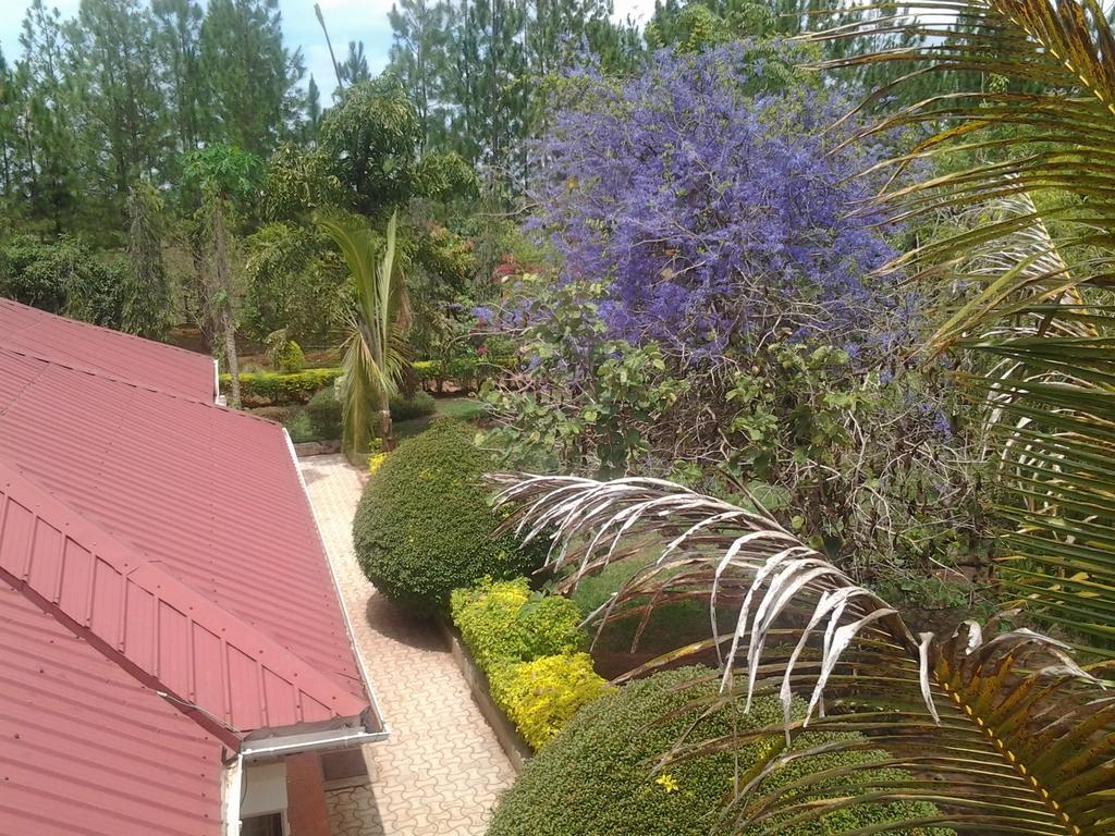 Brownstone Country Home Lira Esterno foto
